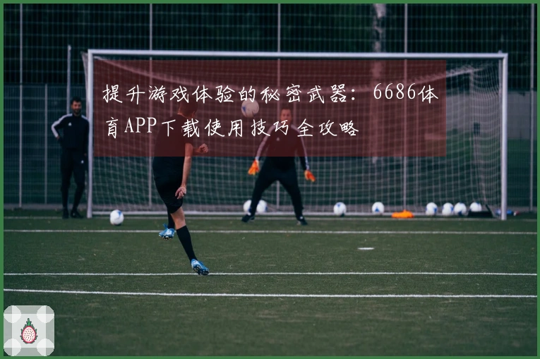 提升游戏体验的秘密武器：6686体育APP下载使用技巧全攻略