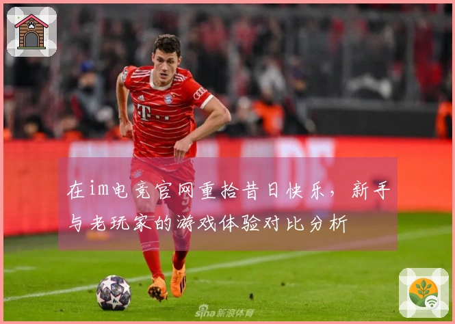 在im电竞官网重拾昔日快乐，新手与老玩家的游戏体验对比分析