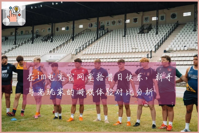 在im电竞官网重拾昔日快乐，新手与老玩家的游戏体验对比分析